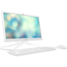 HP AIO21 - B0008NK